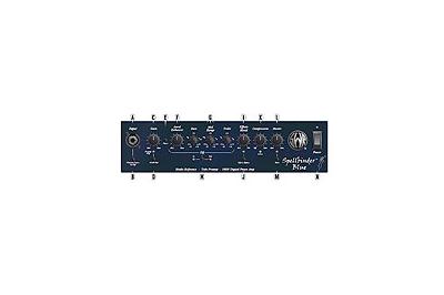 SWR Spellbinder panel delantero - SWR Spellbinder panel delantero -