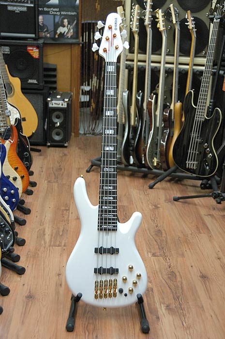 Sold items | bass, electric bass, luthier, online shop | DoctorBass